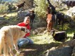 Galería de fotos