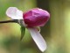 Donna L. Long on Linkedin