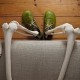 Fotogalerie-Bild