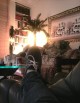 Fotogalerie-Bild