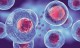 Stem Cell Treatment