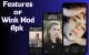 Download Wink Mod Apk 2024 free Latest Version Wink apk