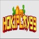 HOKIPLAY99