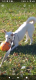 Kumo the Girl palm the Ball!