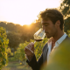 Lisbon Wine Routes - Blog