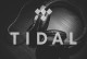 Tidal link