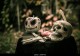 Effective love binding spells +27631787089