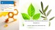 Traditional medicines and their common uses in central region of Syria: Hama and Homs – an ethnomedicinal survey