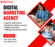 DigiTrixy | Digital Marketing Agency