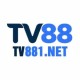 TV88