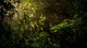 World Wildlife Fund for Nature: Consulted with WWF and the World Bank to create a buffer zone during the creation of Taman...