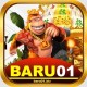 Baru01 Biz