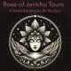 Rose of Jericho Tours