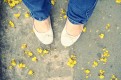 Hình ảnh của thư viện ảnh