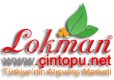 Fotoğraf galerisi görseli